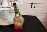 Fabric Gnome Buddy, Good Luck Gnome, Grinch Gnome, Santa Gnome