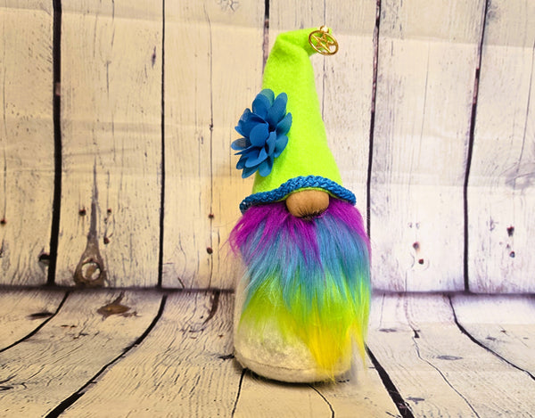 Bright, Cheerful Gnome for the Home