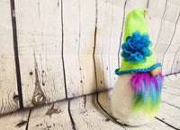 Bright, Cheerful Gnome for the Home